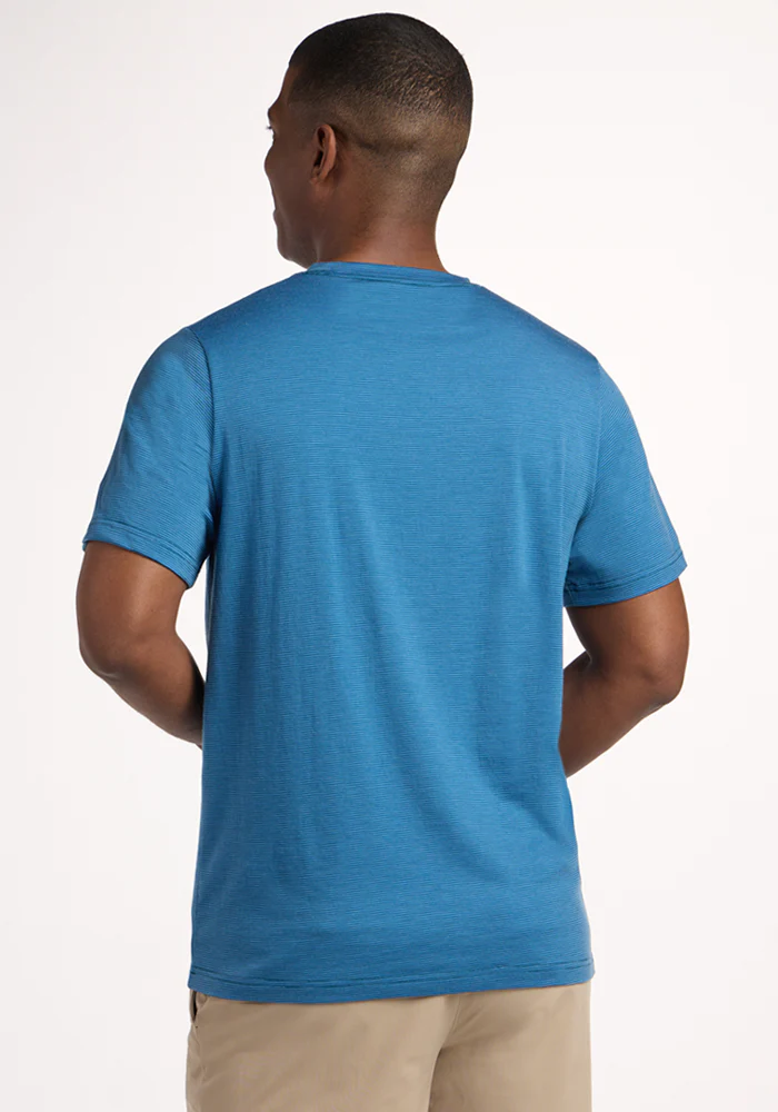 Endurance Tee - Coastal Mini Stripe - Image 5